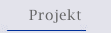 Projekt